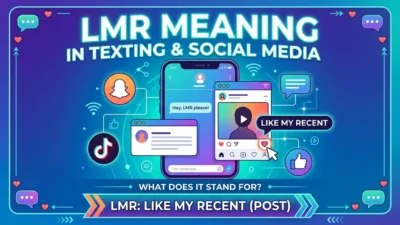 LMR Meaning in Text: What It Means